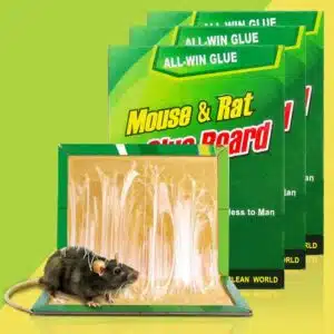 Rat Glue Trap ( এক বান্ডেল )